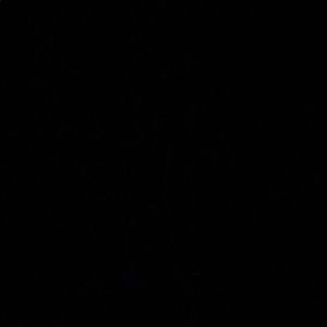 Meet your Posher, Noriega